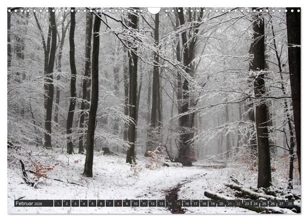 Produktbild: Unterwegs im Hunsr&uuml;ck (Wandkalender 2026 DIN A3 quer), CALVENDO Monatskalender