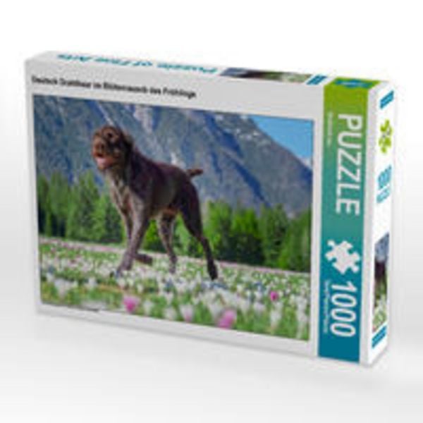 CALVENDO Puzzle Deutsch Drahthaar im Blütenrausch des Frühlings | 1000 Teile Lege-Größe 64x48cm Foto-Puzzle für glückliche Stunden