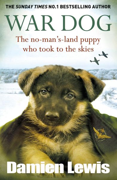 Produktbild: War Dog