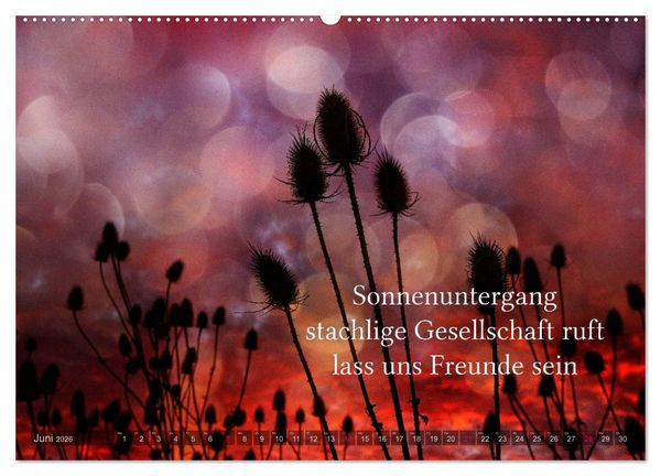 Produktbild: Haiku - Gedichte in 17 Silben (Wandkalender 2026 DIN A2 quer), CALVENDO Monatskalender