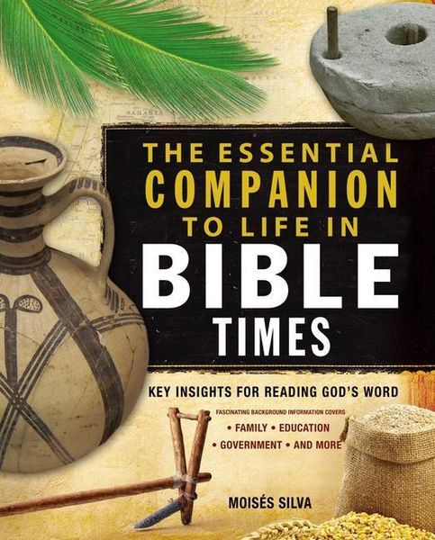 Produktbild: The Essential Companion to Life in Bible Times