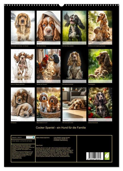Produktbild: Cocker Spaniel - ein Hund f&uuml;r die Familie (hochwertiger Premium Wandkalender 2026 DIN A2 hoch), Kunstdruck in Hochglanz