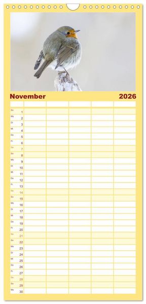 Produktbild: Familienplaner 2026 - Geliebtes Rotkehlchen mit 5 Spalten (Wandkalender, 21 x 45 cm) CALVENDO