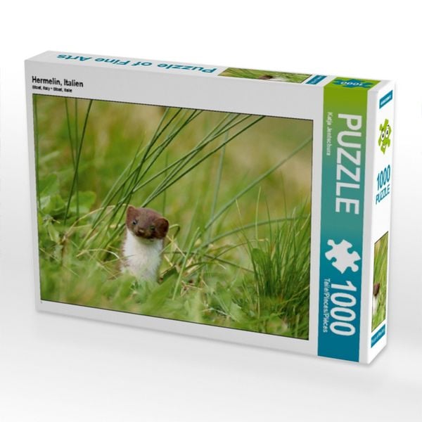 Produktbild: CALVENDO Puzzle Hermelin, Italien | 1000 Teile Lege-Gr&ouml;&szlig;e 64x48cm Foto-Puzzle f&uuml;r gl&uuml;ckliche Stunden