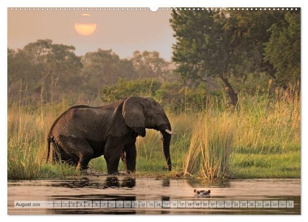Produktbild: Afrikas Tierwelt Christian Heeb (hochwertiger Premium Wandkalender 2026 DIN A2 quer), Kunstdruck in Hochglanz