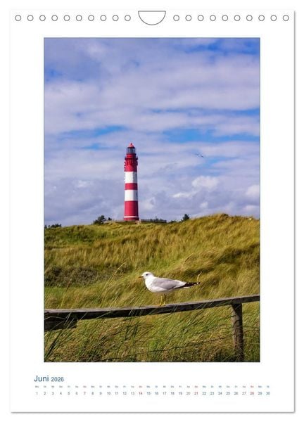 Produktbild: Insel Amrum - Friesische Impressionen (Wandkalender 2026 DIN A4 hoch), CALVENDO Monatskalender