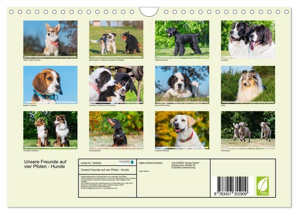 Produktbild: Unsere Freunde auf vier Pfoten - Hunde (Wandkalender 2026 DIN A4 quer), CALVENDO Monatskalender