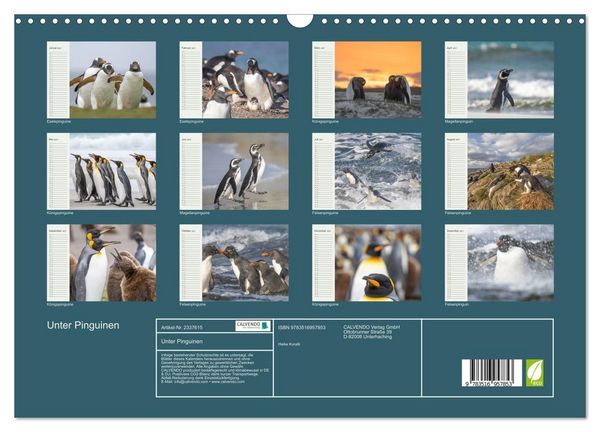 Produktbild: Unter Pinguinen (Wandkalender 2027 DIN A3 quer), CALVENDO Monatskalender