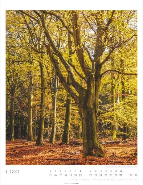 Produktbild: Heimische W&auml;lder Kalender 2027