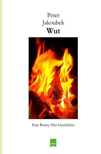 Produktbild: Eine Ronny Hirt Geschichte / Wut &ndash; Eine Ronny Hirt Geschichte
