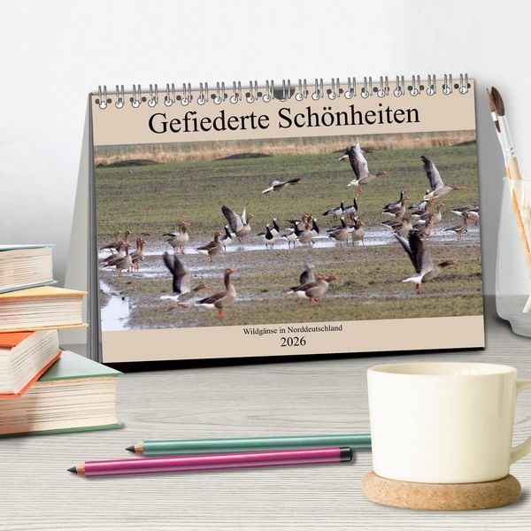 Produktbild: Gefiederte Sch&ouml;nheiten - Wildg&auml;nse in Norddeutschland (Tischkalender 2026 DIN A5 quer), CALVENDO Monatskalender