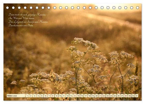 Produktbild: Sommergr&auml;ser (Tischkalender 2026 DIN A5 quer), CALVENDO Monatskalender