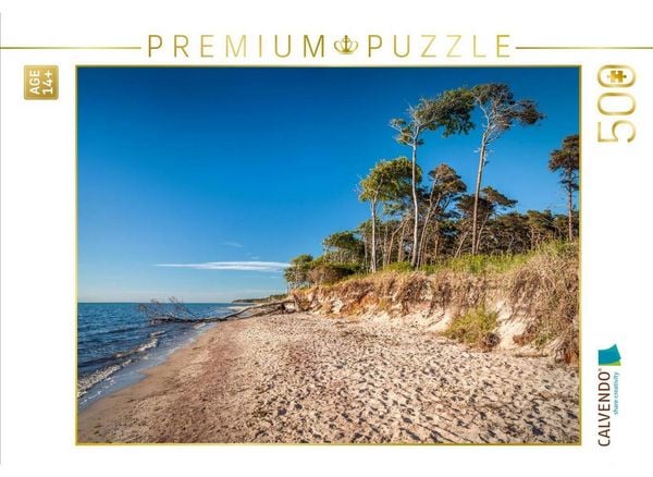 CALVENDO Puzzle Weststrand am Darß im Nationalpark Vorpommersche Boddenlandschaft | 500 Teile Lege-Größe 48 × 36 cm Foto-Puzzle für Erwachsene