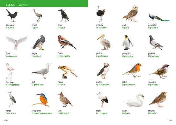 Produktbild: Italian Visual Dictionary Pb