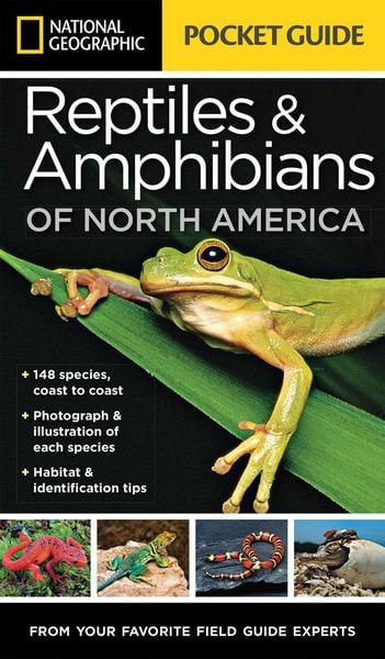 Produktbild: National Geographic Pocket Guide to Reptiles and Amphibians of North America
