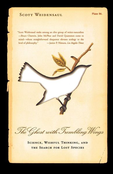 Produktbild: The Ghost with Trembling Wings