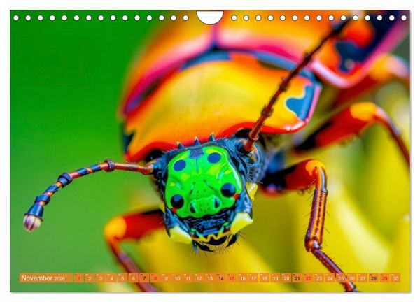 Produktbild: Besondere bunte K&auml;fer (Wandkalender 2026 DIN A4 quer), CALVENDO Monatskalender