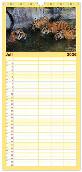 Produktbild: Familienplaner 2026 - Tiger mit 5 Spalten (Wandkalender, 21 x 45 cm) CALVENDO