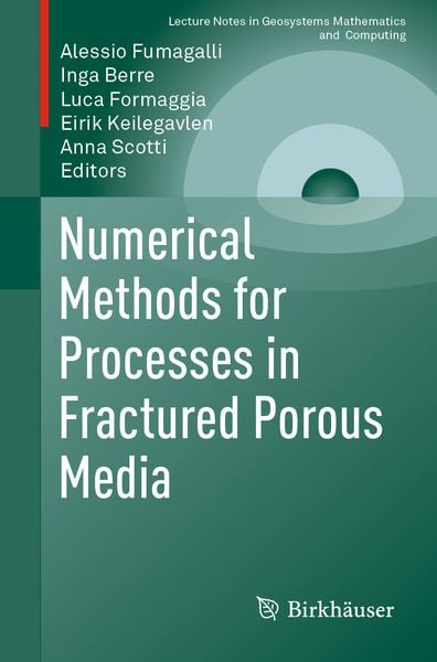 Produktbild: Numerical Methods for Processes in Fractured Porous Media