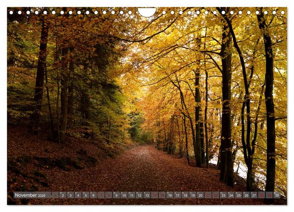 Produktbild: Weinland Pfalz - Region S&uuml;dliche Weinstra&szlig;e (Wandkalender 2026 DIN A4 quer), CALVENDO Monatskalender