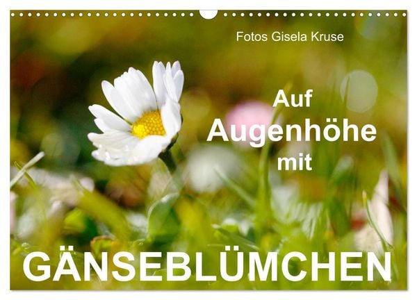 Produktbild: Auf Augenh&ouml;he mit G&auml;nsebl&uuml;mchen (Wandkalender 2026 DIN A3 quer), CALVENDO Monatskalender