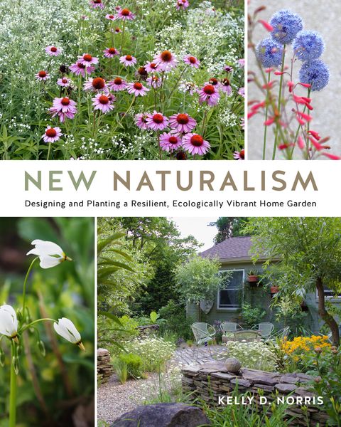 Produktbild: New Naturalism