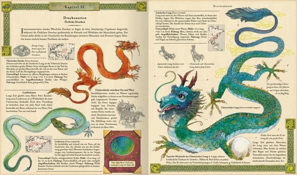 Produktbild: Expedition in die geheime Welt der Drachen