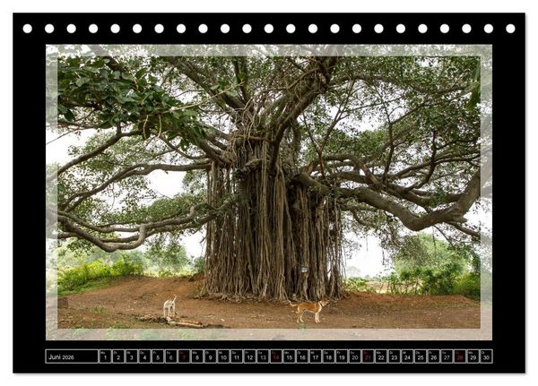 Produktbild: Kerala - Impressionen aus S&uuml;dindien (Tischkalender 2026 DIN A5 quer), CALVENDO Monatskalender