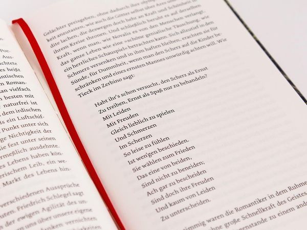 Produktbild: Die Romantik. Ausbreitung, Bl&uuml;tezeit und Verfall