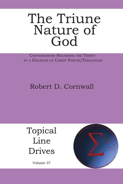 Produktbild: The Triune Nature of God