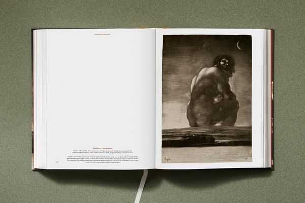 Produktbild: Goya