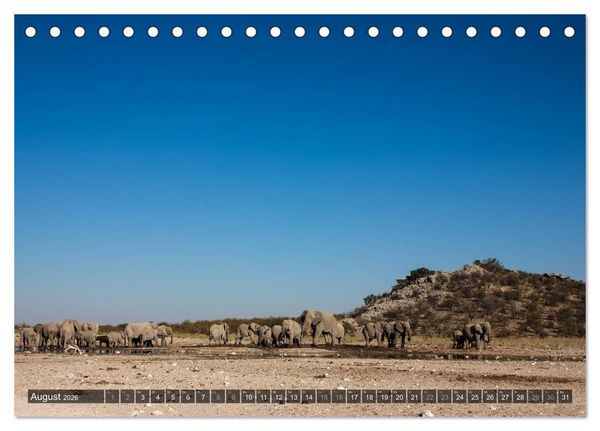 Produktbild: Wildes Namibia (Tischkalender 2026 DIN A5 quer), CALVENDO Monatskalender