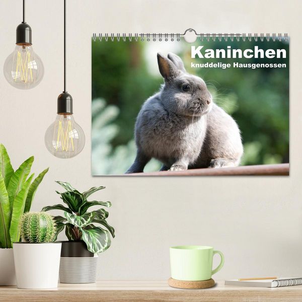 Produktbild: Kaninchen - knuddelige Hausgenossen (Wandkalender 2026 DIN A4 quer), CALVENDO Monatskalender