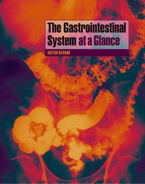 Produktbild: The Gastrointestinal System at a Glance