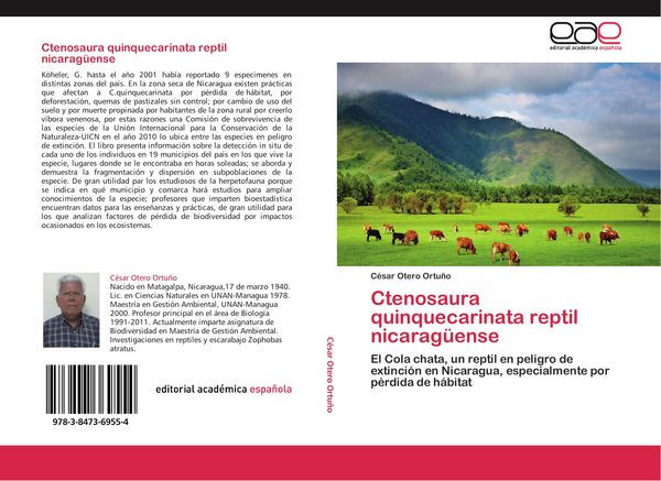Produktbild: Ctenosaura quinquecarinata reptil nicarag&uuml;ense