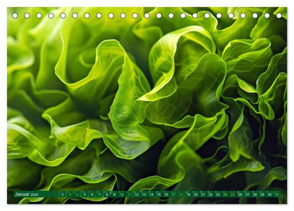 Produktbild: Algen - Superfood (Tischkalender 2026 DIN A5 quer), CALVENDO Monatskalender
