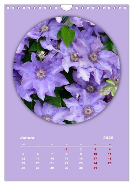 Produktbild: Rundherum Natur (Wandkalender 2026 DIN A4 hoch), CALVENDO Monatskalender