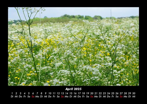 Produktbild: Blumentr&auml;ume 2025 Fotokalender DIN A3