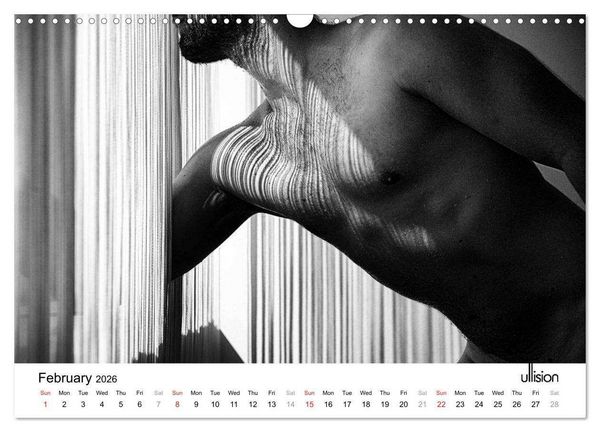Produktbild: Male Nude Art (Wall Calendar 2026 DIN A3 landscape), CALVENDO 12 Month Wall Calendar