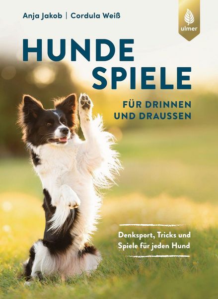 Produktbild: Hundespiele f&uuml;r drinnen und drau&szlig;en