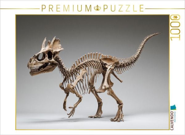 CALVENDO Puzzle Pachycephalosaurus-Skelett mit Kuppelschädel seitlich | 1000 Teile Lege-Größe 64x48cm Foto-Puzzle für glückliche Stunden