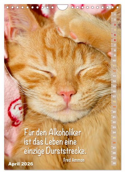 Produktbild: Der literarische Katerkalender (Wandkalender 2026 DIN A4 hoch), CALVENDO Monatskalender