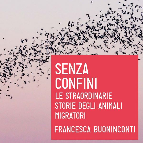 Produktbild: Senza confini