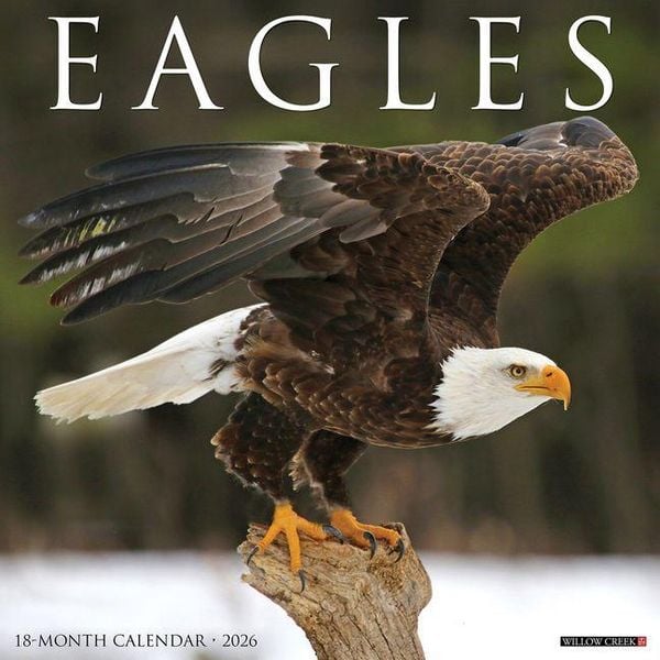 Produktbild: Eagles 2026 Wall Calendar