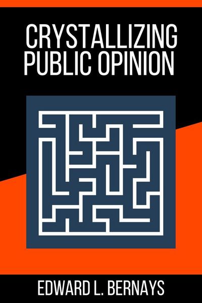 Produktbild: Crystallizing Public Opinion