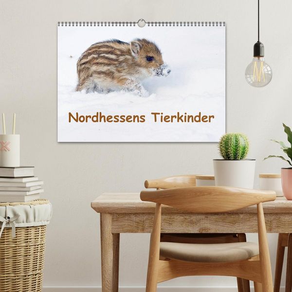 Produktbild: Nordhessens Tierkinder (Wandkalender 2026 DIN A3 quer), CALVENDO Monatskalender