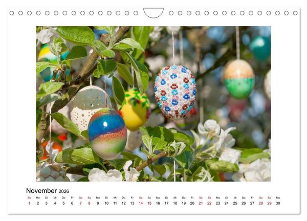Produktbild: Der Saalfelder Ostereierbaum (Wandkalender 2026 DIN A4 quer), CALVENDO Monatskalender