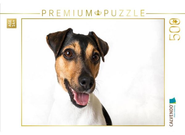 CALVENDO Puzzle Vienchen - Jack Russel Terrier | 500 Teile Lege-Größe 48 × 36 cm Foto-Puzzle für Erwachsene