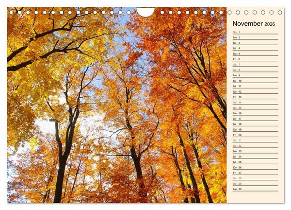 Produktbild: Riesengebirge (Wandkalender 2026 DIN A4 quer), CALVENDO Monatskalender