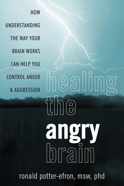 Produktbild: Healing the Angry Brain